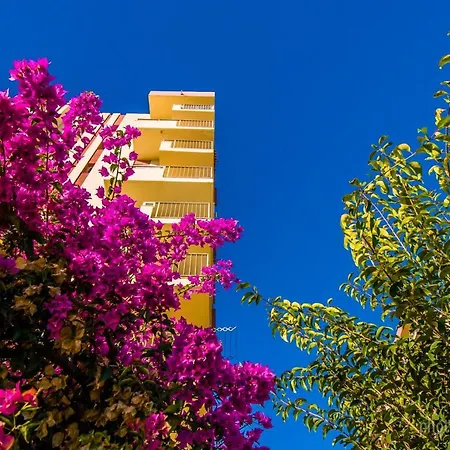 206 Jupiter - Piscina Y Playa - Excelente Ubicacion Apartment *